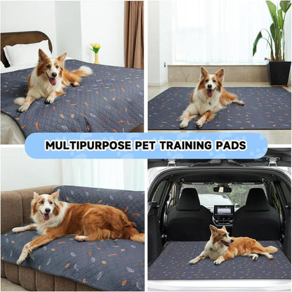 Apartment Dog Clean Pad System – Washable Dog Pee Pads for Cleaner Floors