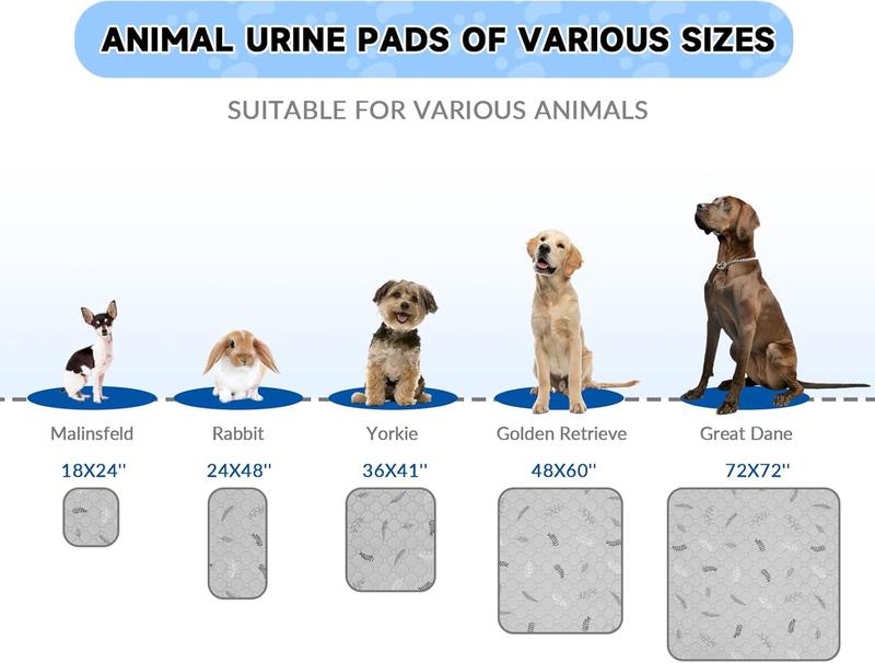 Apartment Dog Clean Pad System – Washable Dog Pee Pads for Cleaner Floors
