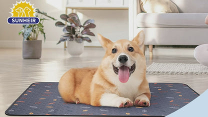Apartment Dog Clean Pad System – Washable Dog Pee Pads for Cleaner Floors
